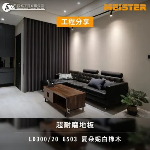 超耐磨木地板 LD300/20 6503 夏朵妮白橡木