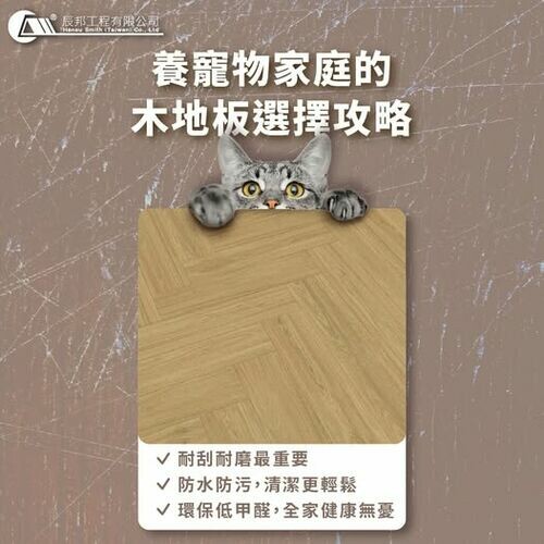 養寵物家庭的木地板選擇攻略
