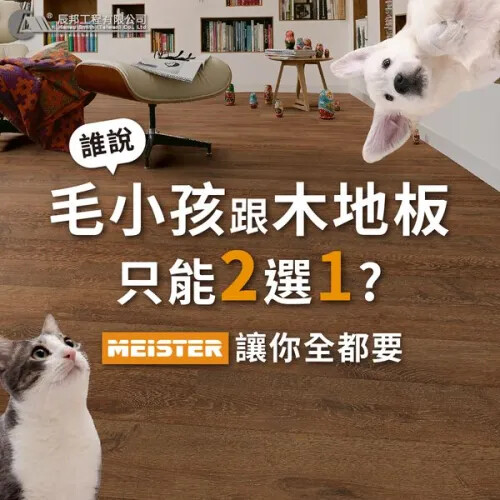 毛小孩跟木地板只能二選一？我全都要！
