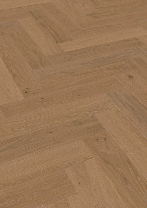 MEISTER 8573 摩卡橡木