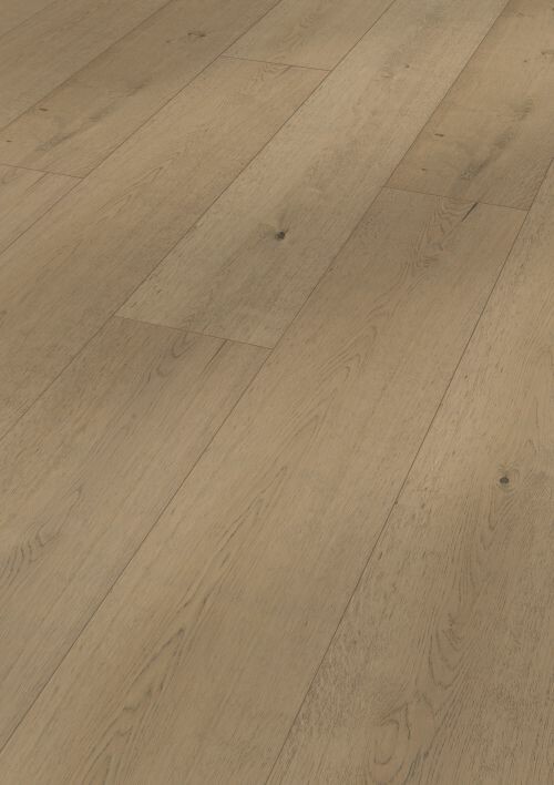 MEISTER 8416 舒伯特橡木