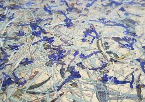 高山乾草 + 翠雀花瓣