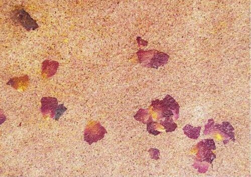 玫瑰花瓣粉 + 玫瑰花瓣