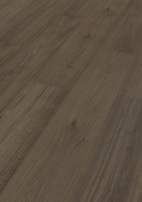 MEISTER 8524 海頓橡木