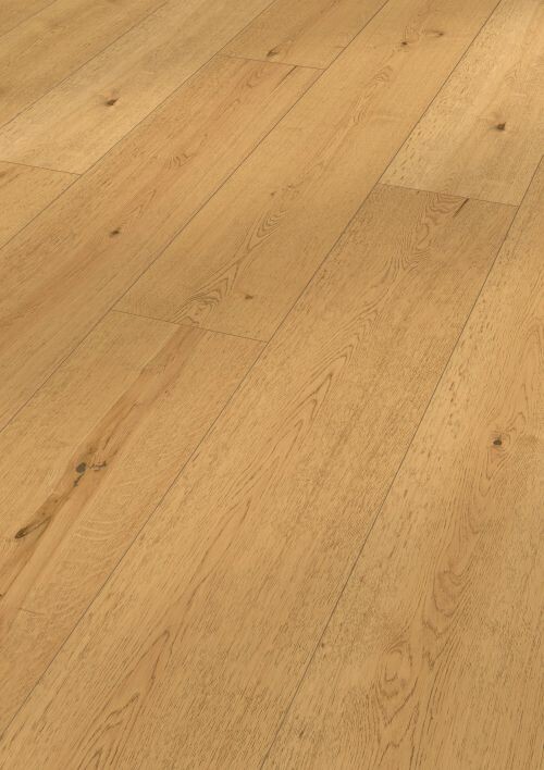 MEISTER 8417 貝多芬橡木