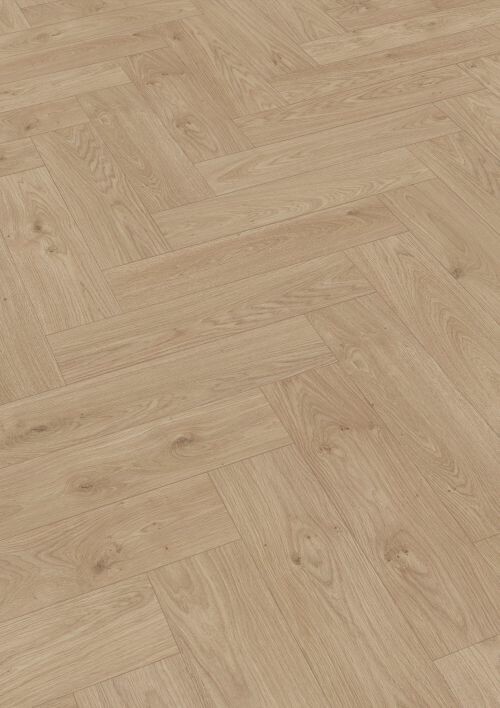 6863 雅典淺橡木