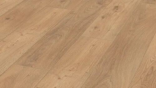 6423 巴杰羅橡木