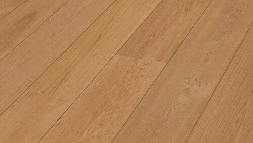 MEISTER 8907萊茵河橡木地板